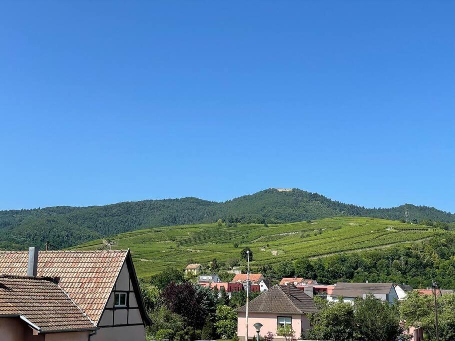 A2 Pas De Colmar Terrasse,Parking Apartment Wintzenheim Exterior photo